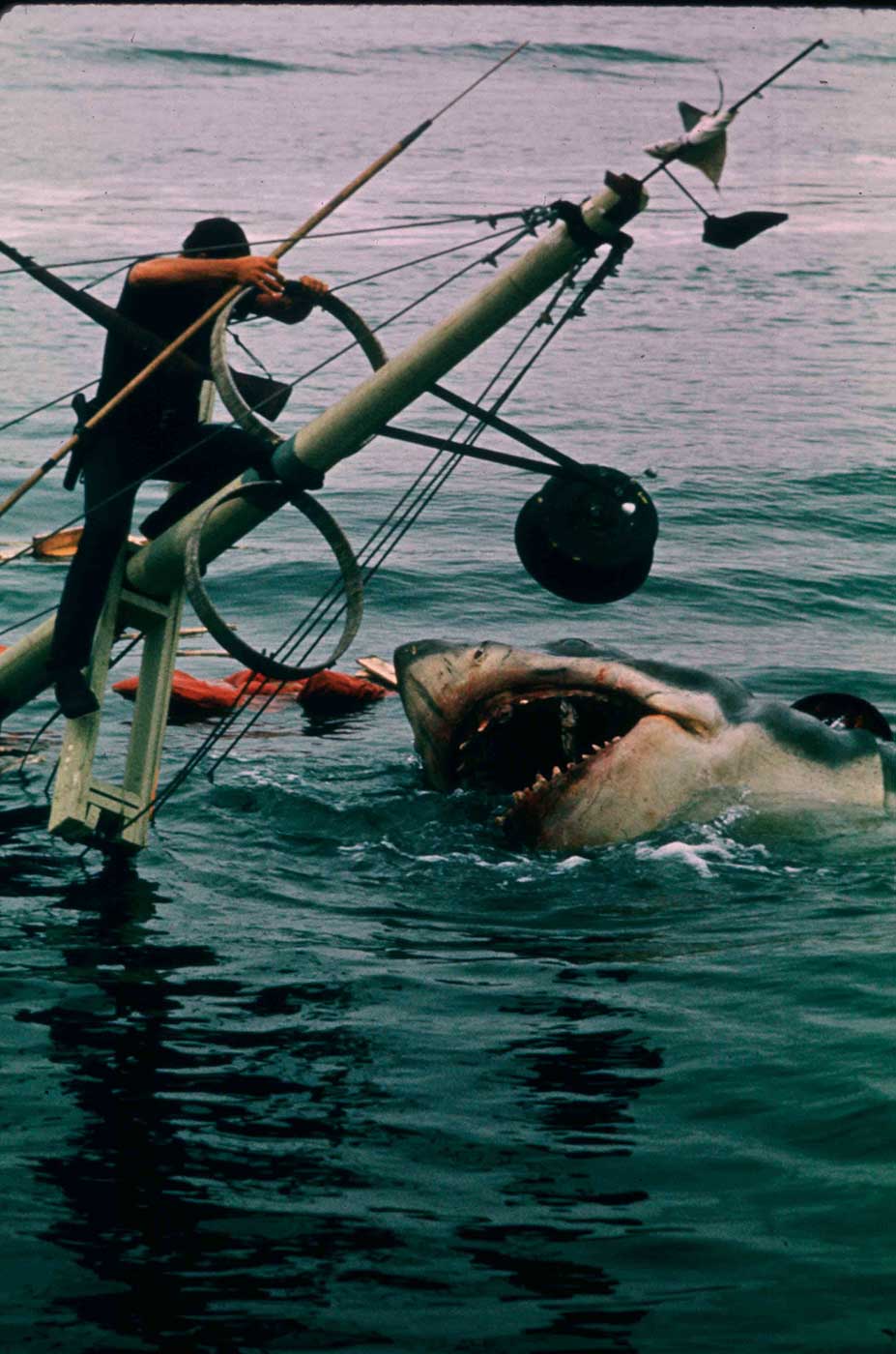 Jaws | Oscars.org | Academy of Motion Picture Arts and Sciences